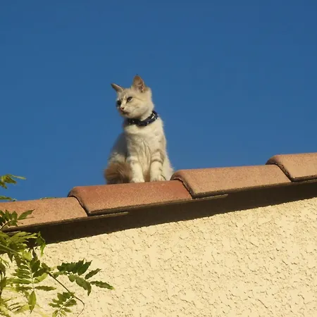 Prázdninový dům A L'abri Du Mistral By Interhome *