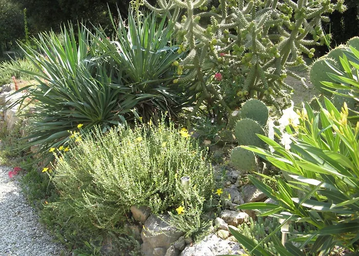 Nyaraló A L'abri Du Mistral By Interhome